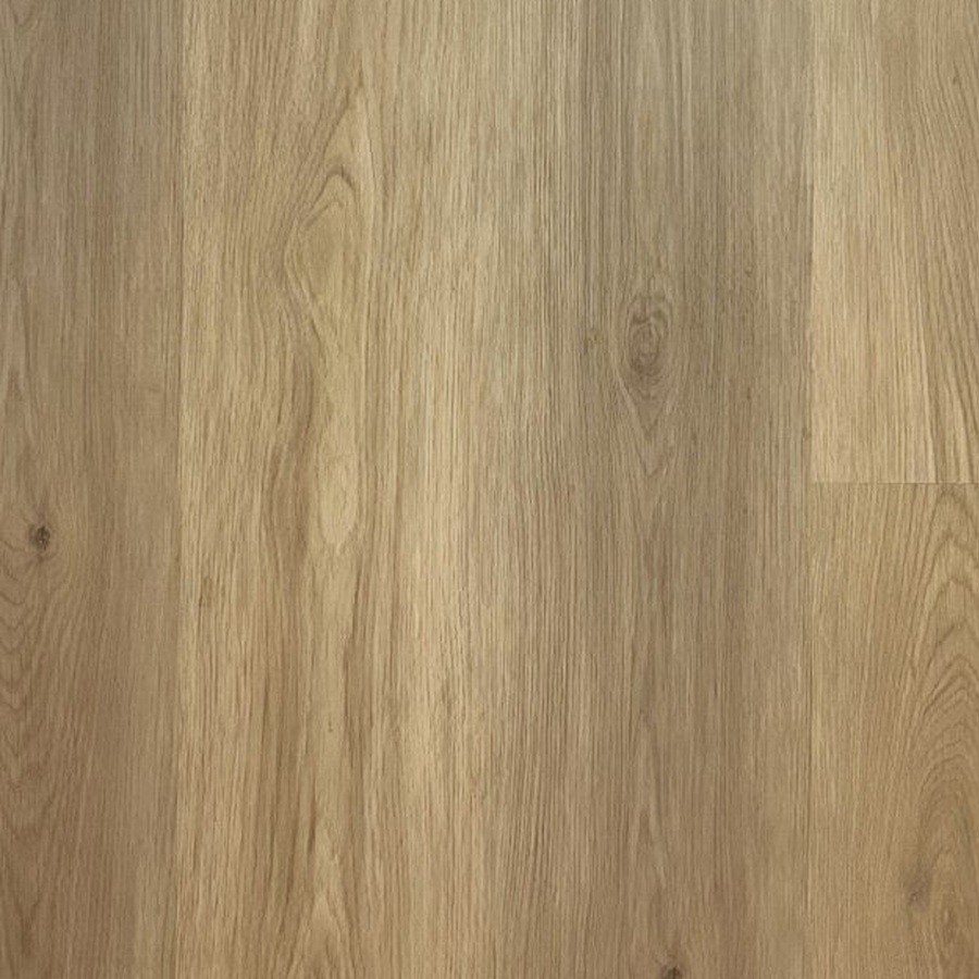 Intra Rigid Clic SPC V4 9120-1