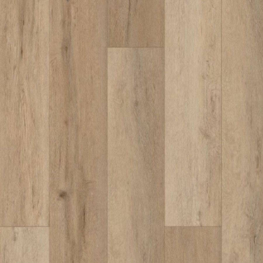 Intra Rigid Clic SPC V4 9785