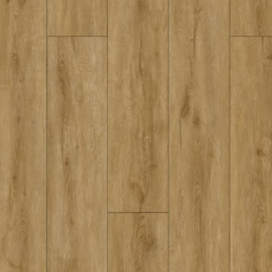 Intra Rigid Clic SPC V4 9808