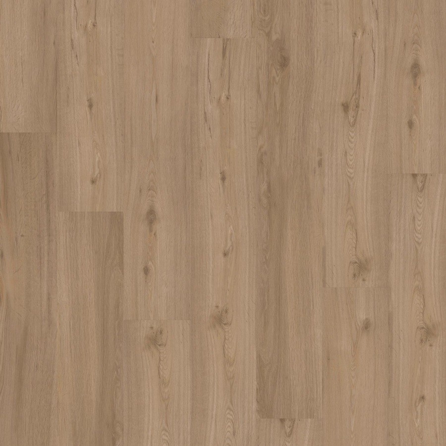 Joka LVT 555 Dryback 5509 Spring Oak EIR