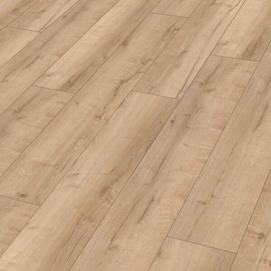 Meister RM 500 (S) String band 20207