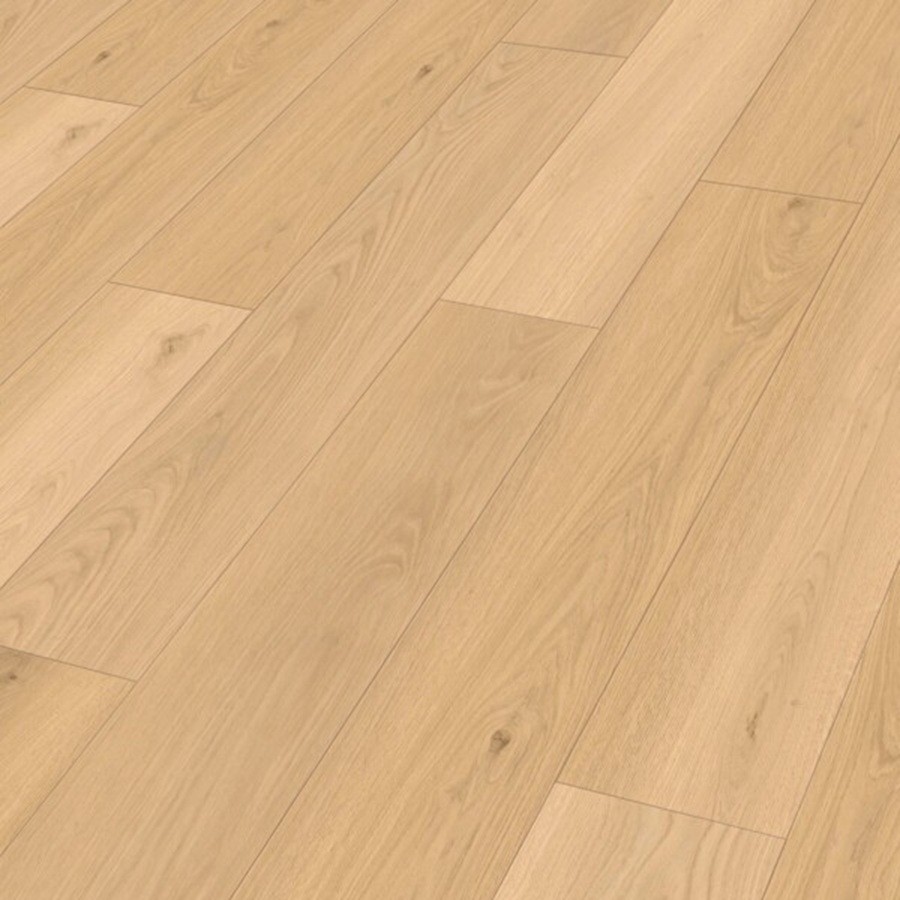 Meister RM 500 (S) Electric blues 20204