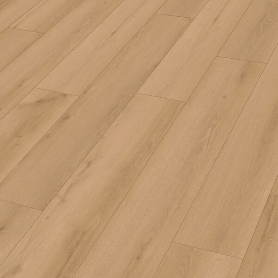 Meister RM 500 (S) Torch song 20202