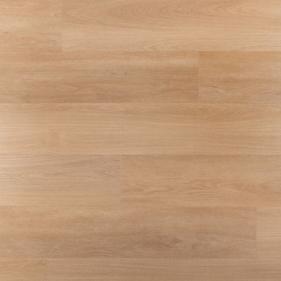 Douwes Dekker Ambitieus Riante plank klik tompouce Ultra mat