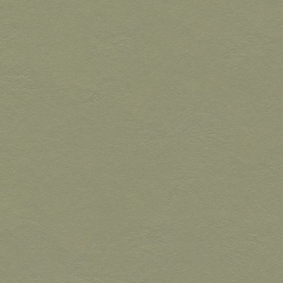 Core Linoleum Click 933355 rosemary green