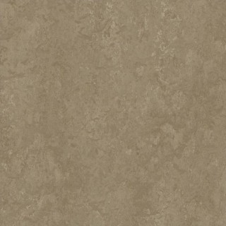 Forbo Marmoleum Modular Sparrow