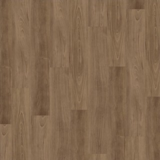 Expona Commercial Country Ash 4212