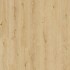 Beautifloor Jackson Traceway