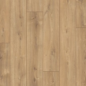 Douwes Dekker Elegant 5065 Basilicum