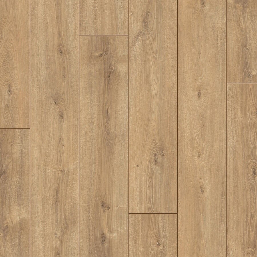 Douwes Dekker Elegant 5065 Basilicum