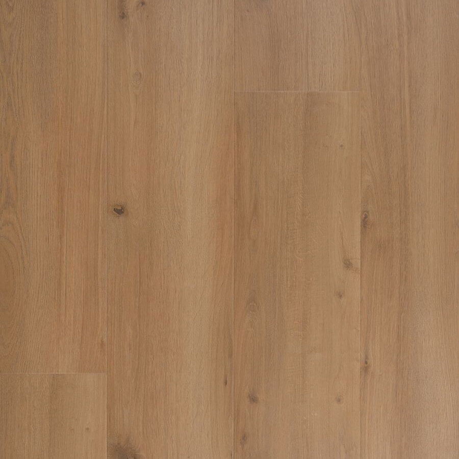 Douwes Dekker Krachtig Solide brede plank Mosterd