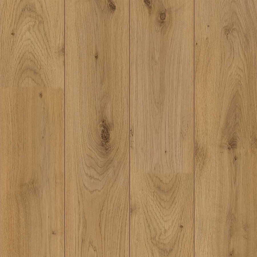 Douwes Dekker Sympathiek Peterselie