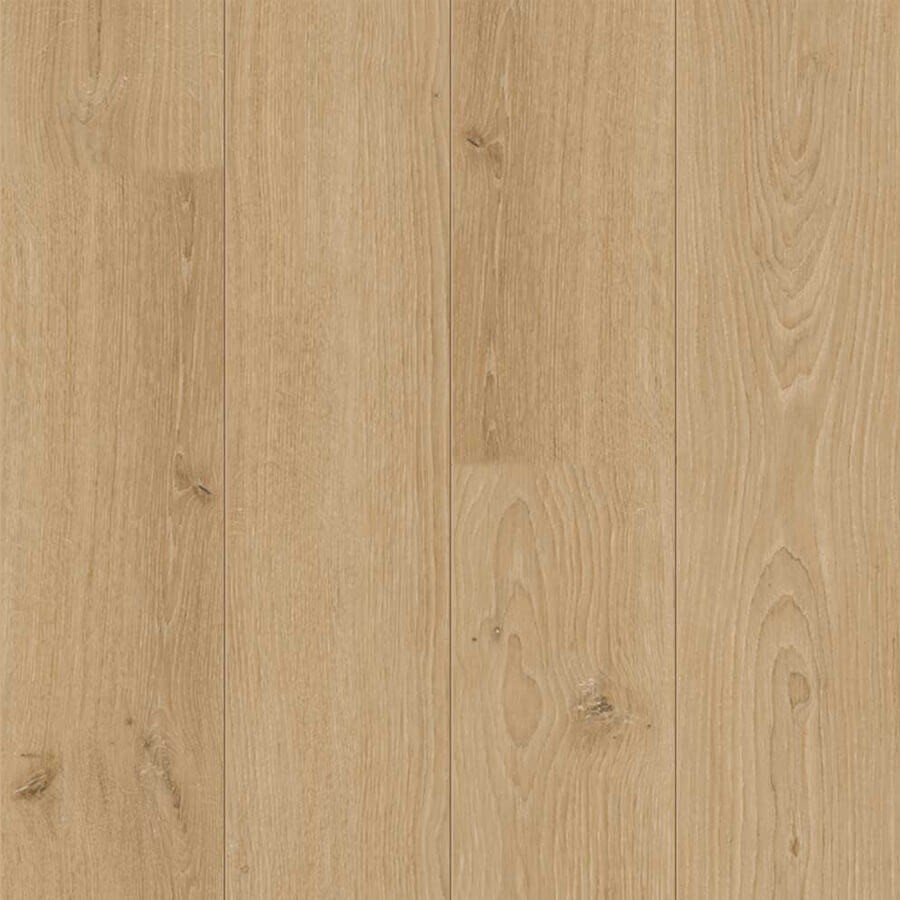 Douwes Dekker Sympathiek Kamille