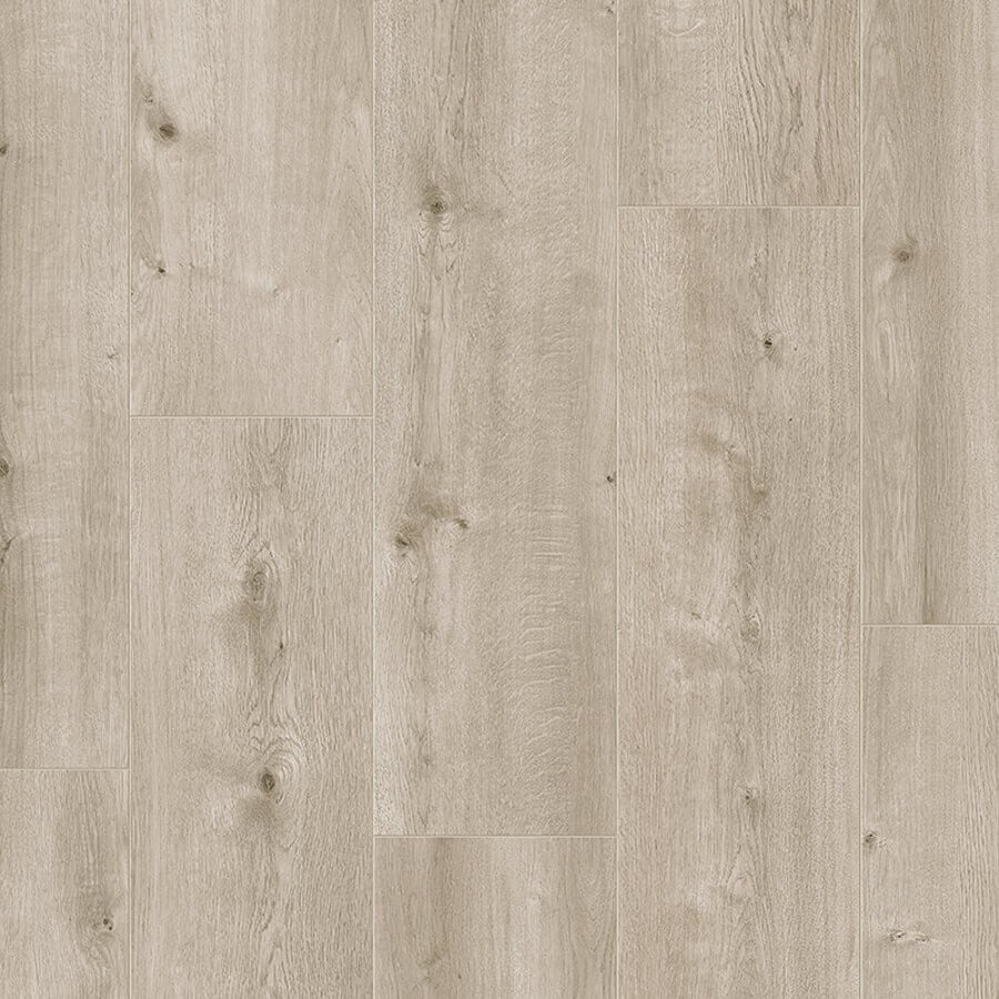 Lifestyle-Interior Rose Wide Hydro 5474