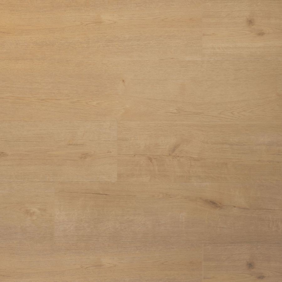 Douwes Dekker Praktisch Plank klik biscuit