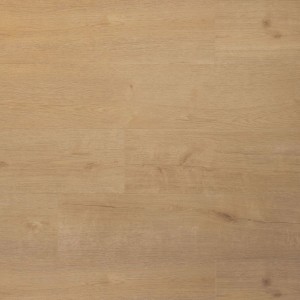 Douwes Dekker Praktisch Plank dryback biscuit