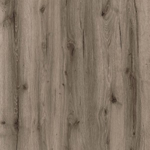 Republic Floor Rigid Crocodile Crazeee