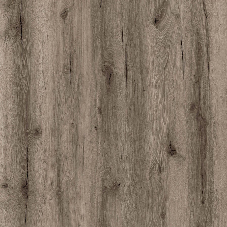 Republic Floor Rigid Crocodile Crazeee