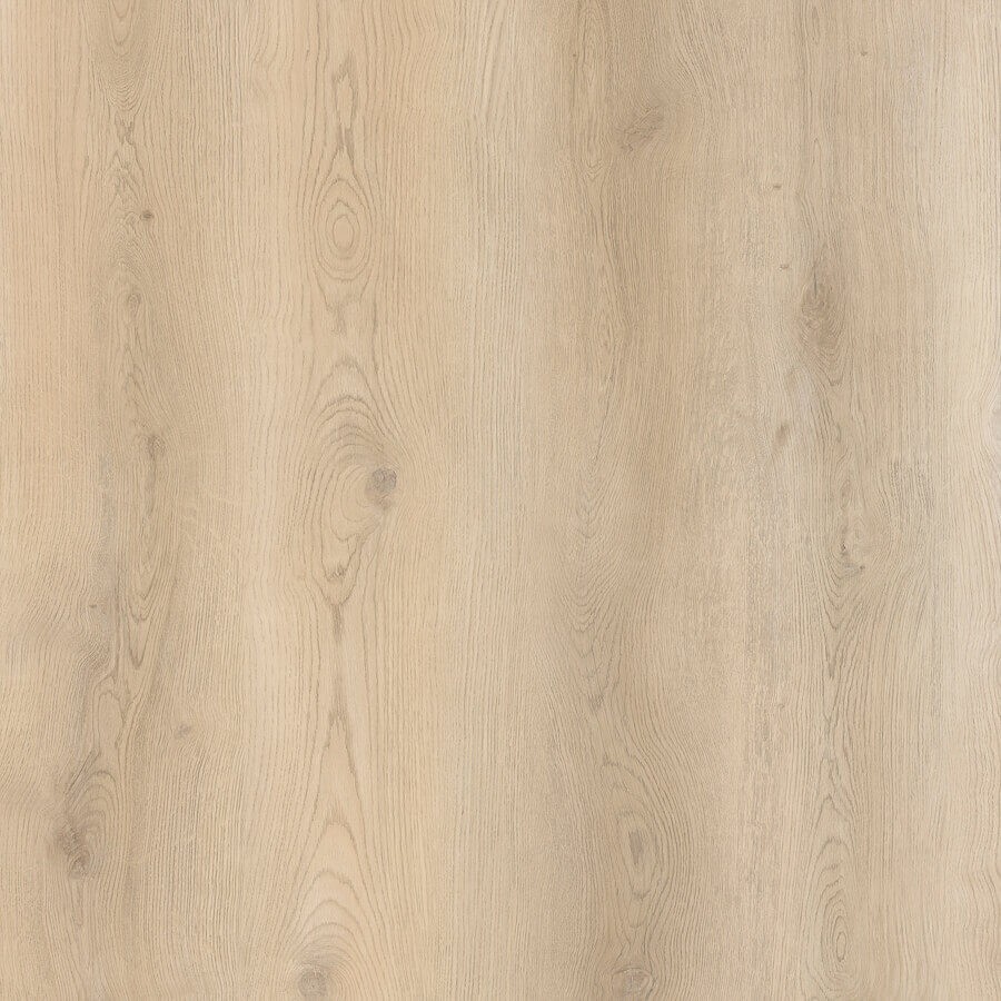 Republic Floor Rigid Tiger Ego