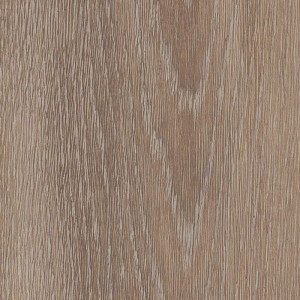 Solcora Silence Oak 55913 Calabria
