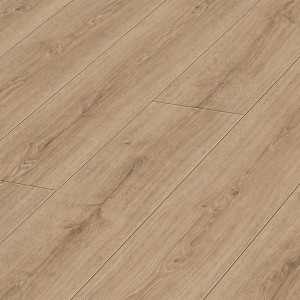Meister DD 400 Zomereik natuur 6983