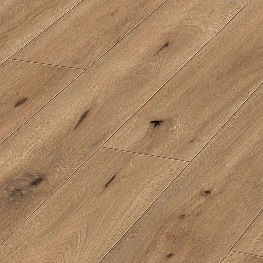 Meister DD 600 S Veldeik natuur 6844