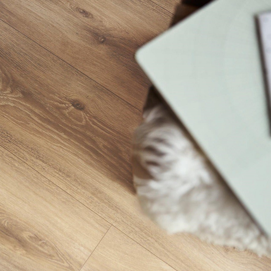 Meister DD 600 S Desert oak 6998